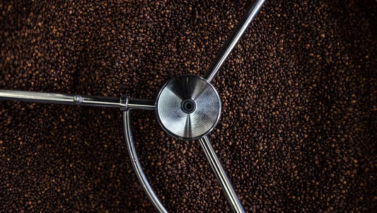 How to choose the best coffee beans - Australia - Di Pacci