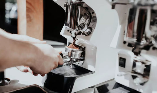 Coffee Grinders For Shop - Australia - Di Pacci