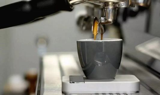Coffee Scales - Australia - Di Pacci