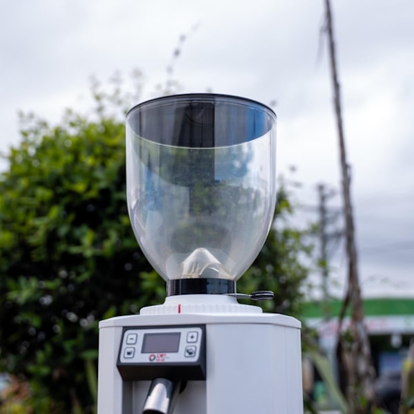Ex-Demo DIP DS-68 Electronic Coffee Grinder