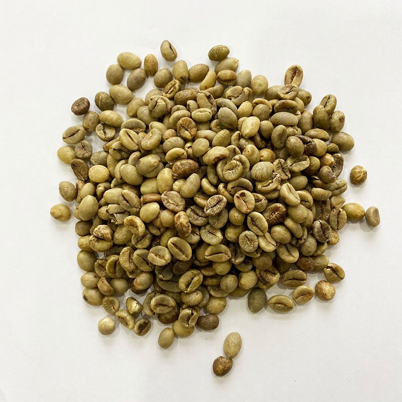Sample Pack Green Beans 35kg