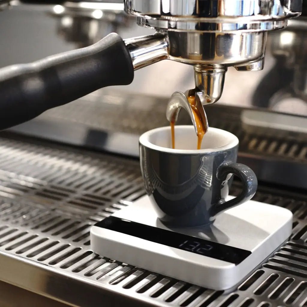 Acaia Lunar Scale - WHITE - Australia - Di Pacci