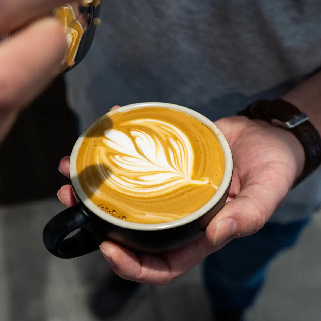 Hands-on barista training on commercial equipment - Di Pacci Sydney