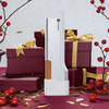 EVEBOT PrintPen, Portable Printer for Coffee And All Surfaces. Hand-held Mini Printer