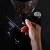Macap LEO 55 Satin Coffee Grinder - Australia - Di Pacci