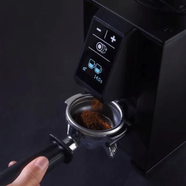 Macap LEO 55 Satin Coffee Grinder - Australia - Di Pacci