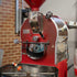Pre Loved Has Garanti 20kg Gas Coffee Roaster & Full SET UP - Australia - Di Pacci